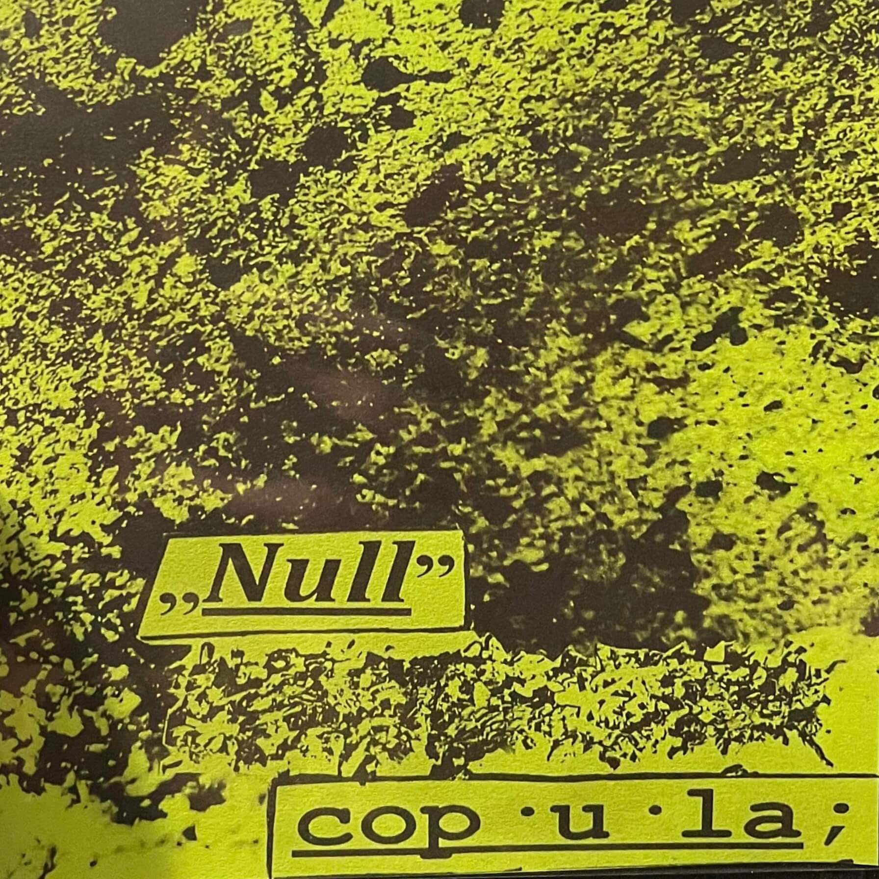 Album artwork for 'Not Like This' by Null Copula